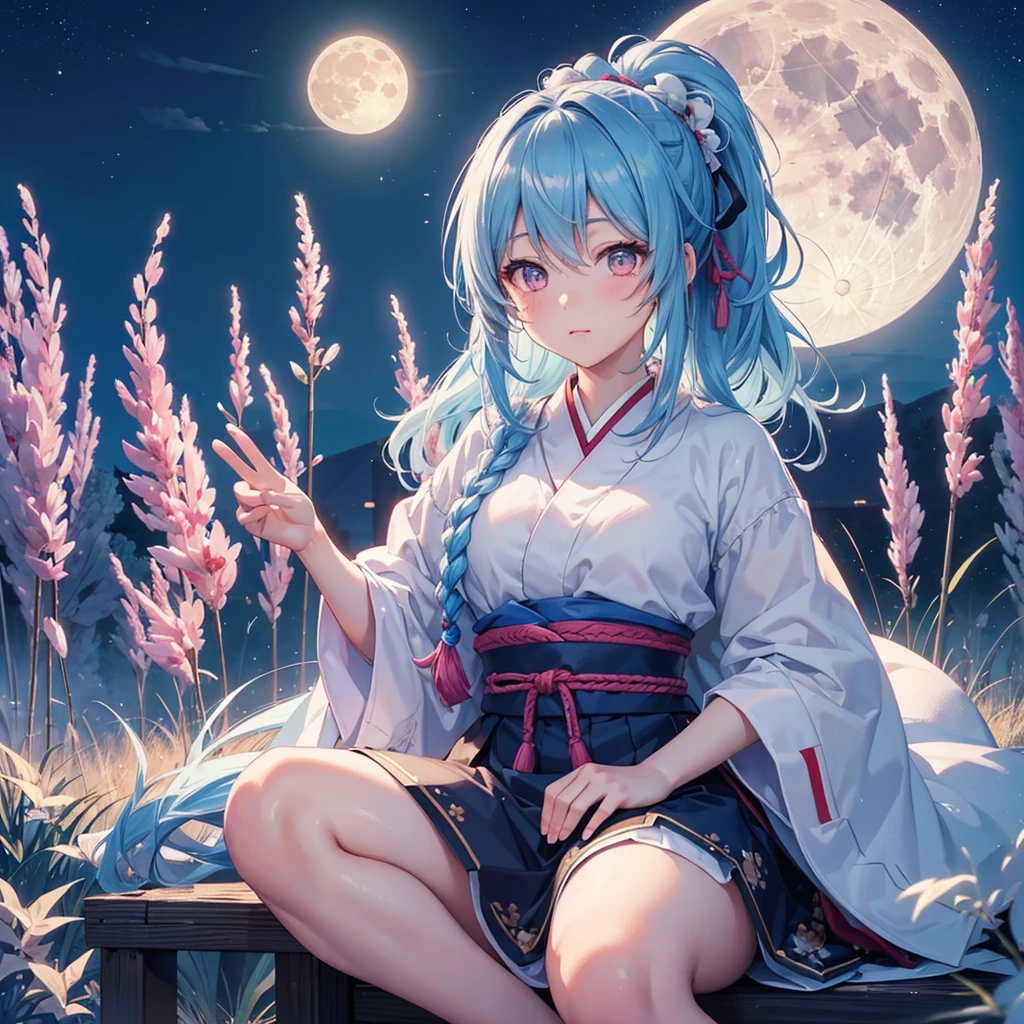 Sky blue hair, (Braided Ponytail), Pink eyes,Fair skin ,(whole body),(One Girl),Tsukimi,Dumpling,Japanese pampas grass,(beautiful, Full moon shining in the night sky),(masterpiece, Highest quality, Very detailed, Best Shadow), (Detailed Background), (Beautifully detailed face), High Contrast, (Best lighting, Very delicate and beautiful), ((Cinematic Light)), colorful, Hyper Detail,8k, Dramatic Light, Intricate details,Sit and eat dumplings while watching the moon,Rabbit pattern on the moon