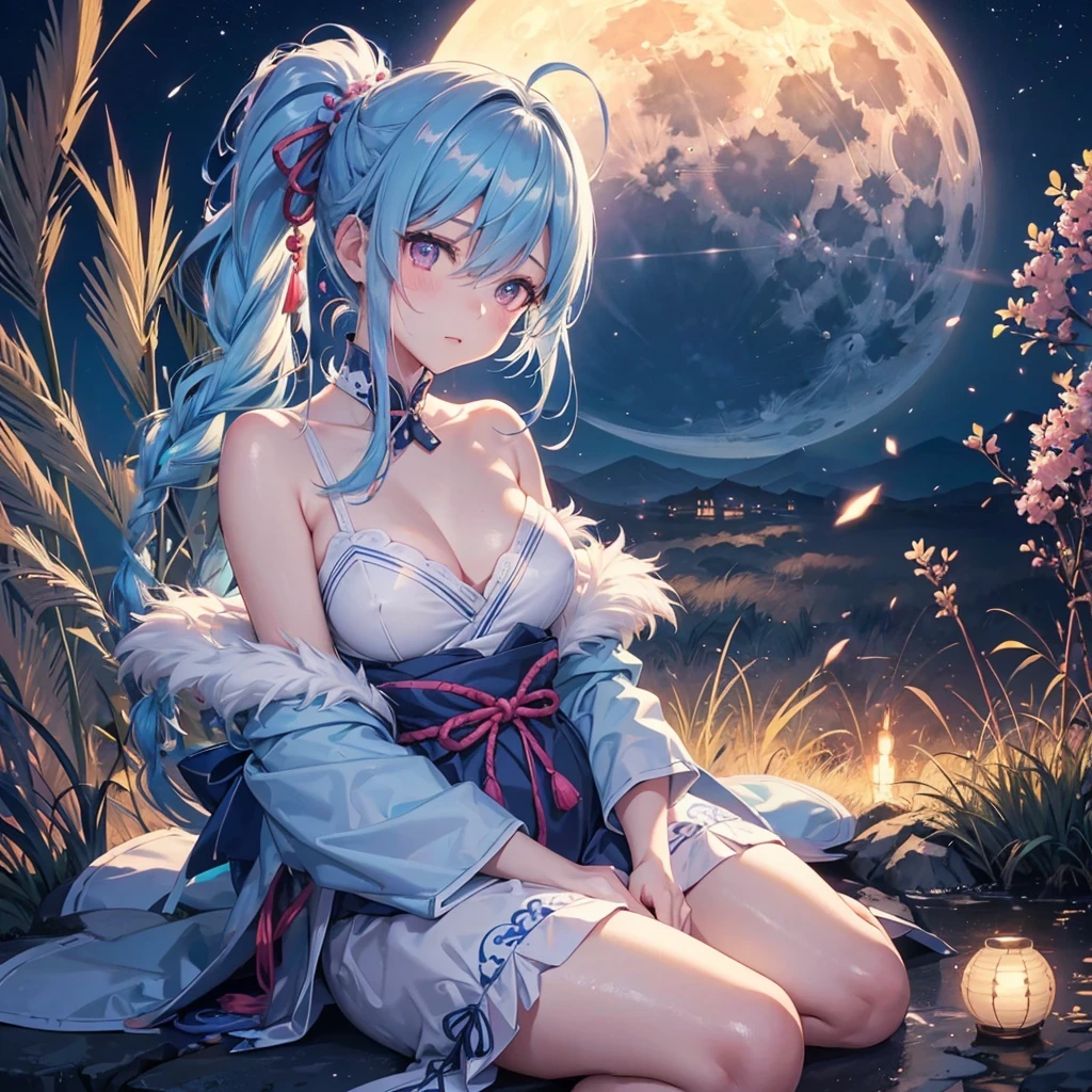 Sky blue hair, (Braided Ponytail), Pink eyes,Fair skin ,(whole body),(One Girl),Tsukimi,Shiratama dumplings,Japanese pampas grass,(beautiful, Full moon shining in the night sky),(masterpiece, Highest quality, Very detailed, Best Shadow), (Detailed Background), (Beautifully detailed face), High Contrast, (Best lighting, Very delicate and beautiful), ((Cinematic Light)), colorful, Hyper Detail,8k, Dramatic Light, Intricate details,Sit and eat dumplings while watching the moon,Shadow of a rabbit on the moon,mysterious