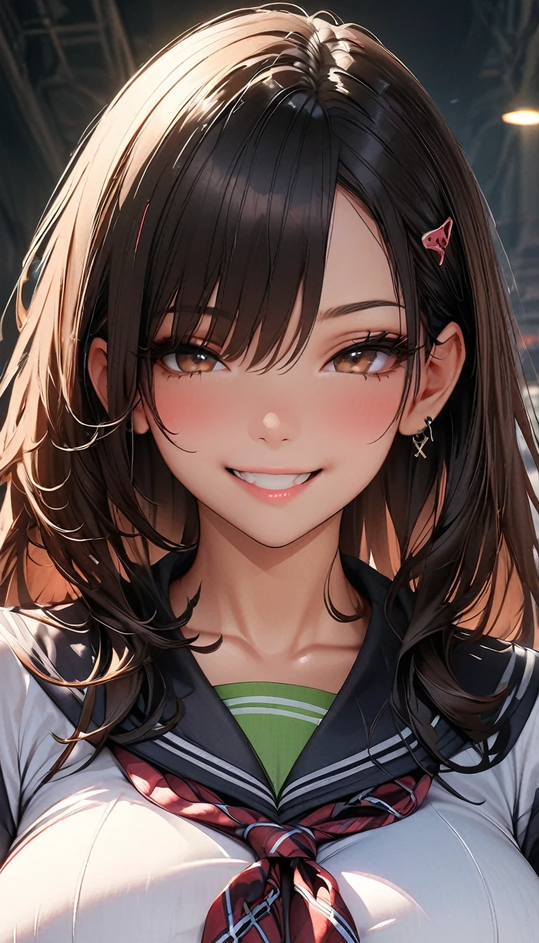 (Highest quality、masterpiece、High resolution、detailed), (Realistic skin texture:1.3), (detailedな目、Beautiful Face), 1 female, Delicate face, cute, One Girl, alone, Wicked Smile,hoodie, Pleated skirt, JK,Large Breasts、Attractive breasts Ultra HD, masterpiece, Highest quality, Super Detail, Accurate, , rtrophto1