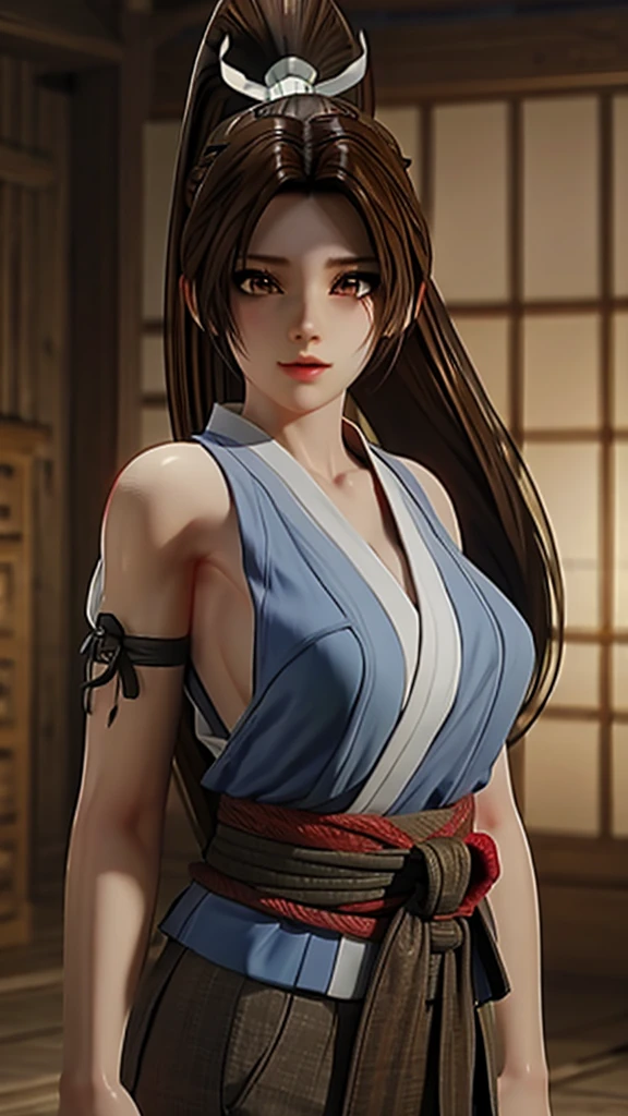 full height, tied, brown hair, ponytail (Mai Dead of Alive)