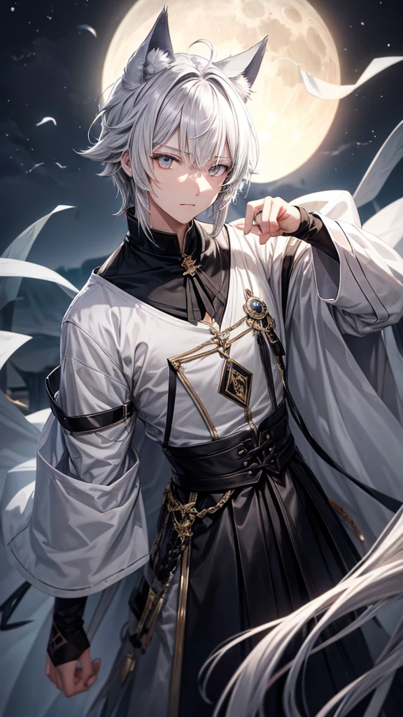Moonlit Night Wolf ears Gray Hair White eyes juvenile male性 male boy