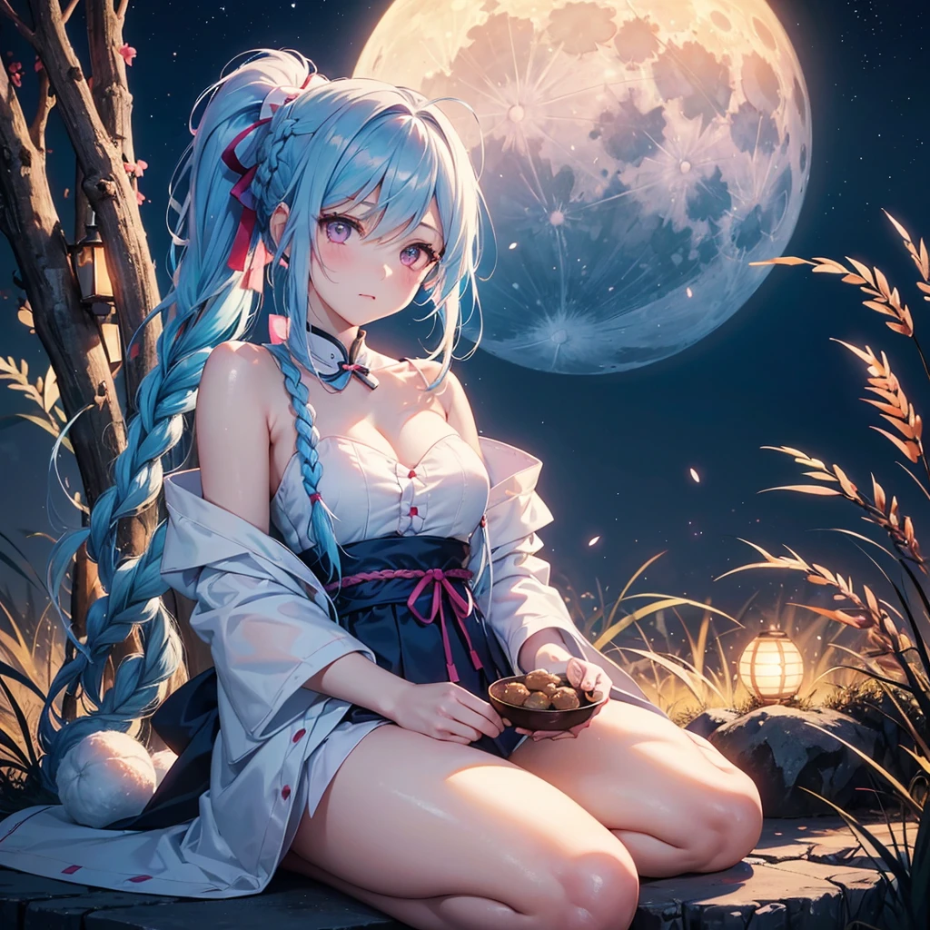 Sky blue hair, (Braided Ponytail:1.2), Pink eyes,Fair skin ,(whole body),(One Girl),Tsukimi,(White sweet dumplings ),White round dumplings,Japanese pampas grass,(beautiful, Full moon shining in the night sky),(masterpiece, Highest quality, Very detailed, Best Shadow), (Detailed Background), (Beautifully detailed face), High Contrast, (Best lighting, Very delicate and beautiful), ((Cinematic Light)), colorful, Hyper Detail,8k, Dramatic Light, Intricate details,Sit and eat dumplings while watching the moon,(Shadow of a rabbit on the moon),mysterious
