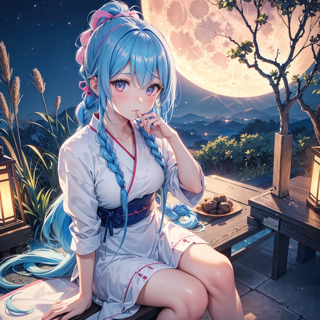 Sky blue hair, (Braided Ponytail:1.2), Pink eyes,Fair skin ,(whole body),(One Girl),Tsukimi,(White sweet dumplings ),White round dumplings,Japanese pampas grass,(beautiful, Full moon shining in the night sky),(masterpiece, Highest quality, Very detailed, Best Shadow), (Detailed Background), (Beautifully detailed face), High Contrast, (Best lighting, Very delicate and beautiful), ((Cinematic Light)), colorful, Hyper Detail,8k, Dramatic Light, Intricate details,Sit and eat dumplings while watching the moon,(Shadow of a rabbit on the moon),mysterious