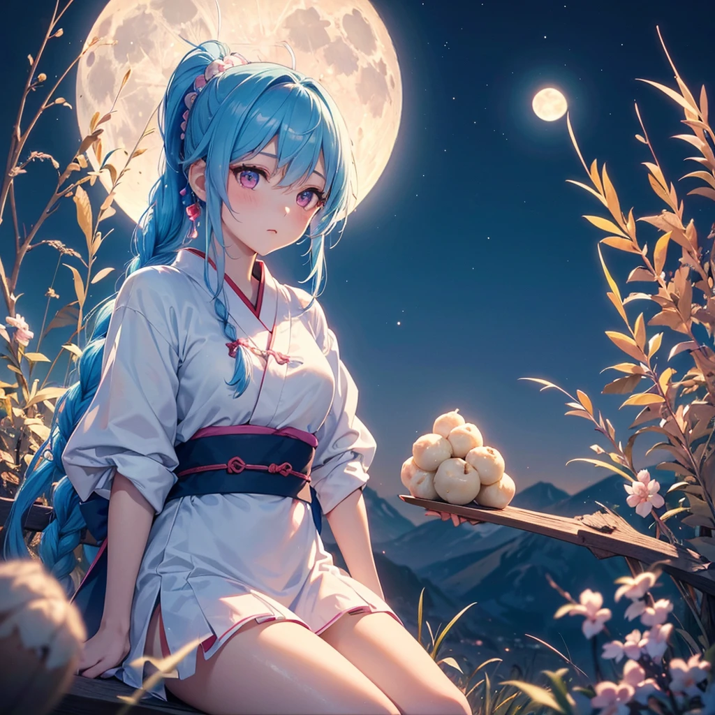 Sky blue hair, (Braided Ponytail:1.2), Pink eyes,Fair skin ,(whole body),(One Girl),Tsukimi,(White sweet dumplings ),White round dumplings,Japanese pampas grass,(beautiful, Full moon shining in the night sky),(masterpiece, Highest quality, Very detailed, Best Shadow), (Detailed Background), (Beautifully detailed face), High Contrast, (Best lighting, Very delicate and beautiful), ((Cinematic Light)), colorful, Hyper Detail,8k, Dramatic Light, Intricate details,Sit and eat dumplings while watching the moon,(Shadow of a rabbit on the moon),mysterious