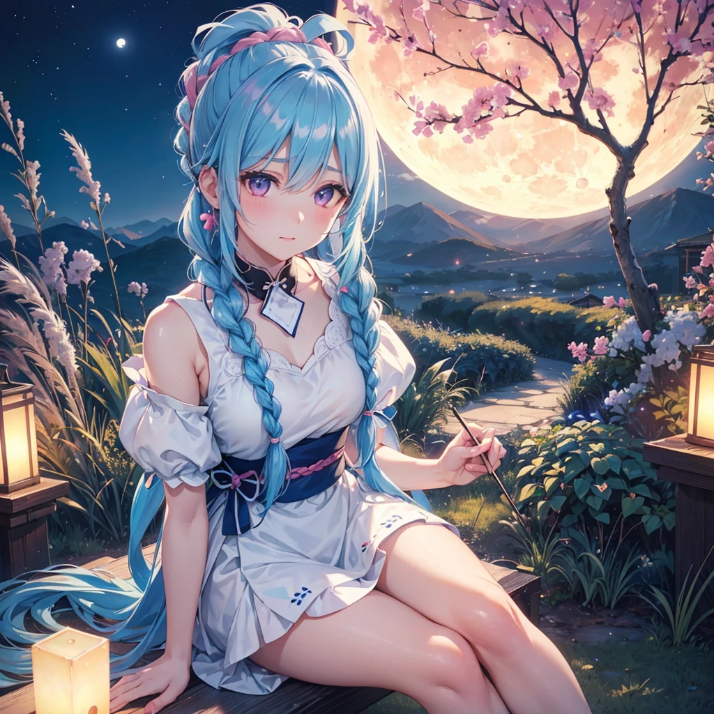 Sky blue hair, (Braided Ponytail:1.2), Pink eyes,Fair skin ,(whole body),(One Girl),Tsukimi,(White sweet dumplings ),White round dumplings,Japanese pampas grass,(beautiful, Full moon shining in the night sky),(masterpiece, Highest quality, Very detailed, Best Shadow), (Detailed Background), (Beautifully detailed face), High Contrast, (Best lighting, Very delicate and beautiful), ((Cinematic Light)), colorful, Hyper Detail,8k, Dramatic Light, Intricate details,Sit and eat dumplings while watching the moon,(Shadow of a rabbit on the moon),mysterious