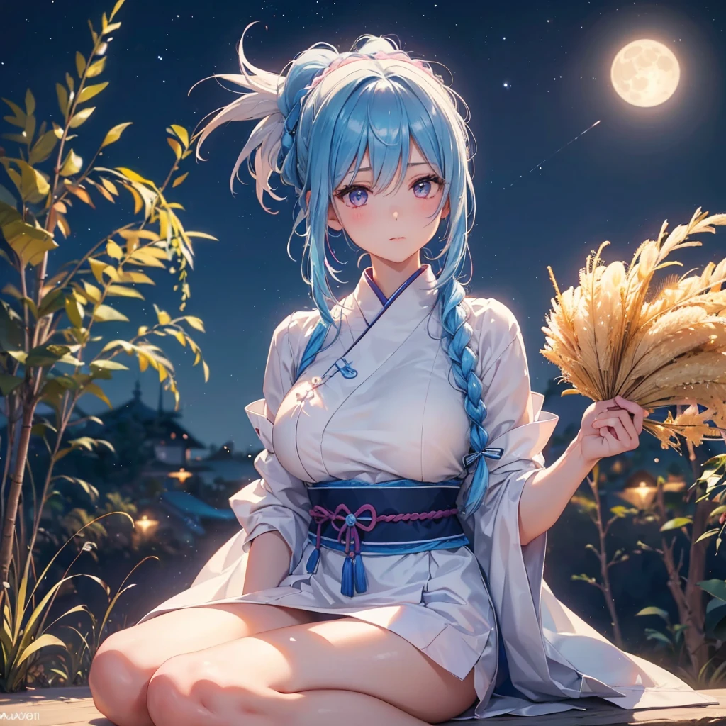 Sky blue hair, (Braided Ponytail:1.2), Pink eyes,Fair skin ,(whole body),(One Girl),Tsukimi,(White sweet dumplings ),White round dumplings,Japanese pampas grass,(beautiful, A large full moon shining in the night sky),(masterpiece, Highest quality, Very detailed, Best Shadow), (Detailed Background), (Beautifully detailed face), High Contrast, (Best lighting, Very delicate and beautiful), ((Cinematic Light)), colorful, Hyper Detail,8k, Dramatic Light, Intricate details,Sit and eat dumplings while watching the moon,(Moon with a Rabbit's Shadow),mysterious