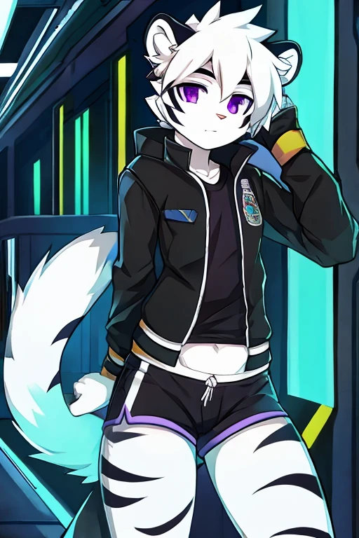 White fur tiger, little, with white tail, black jacket, address shirt, shorts negros, purple eyes, hacker