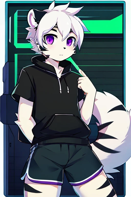 White fur tiger, little, adolescent , with white tail, black jacket, address shirt, shorts negros, purple eyes, hacker