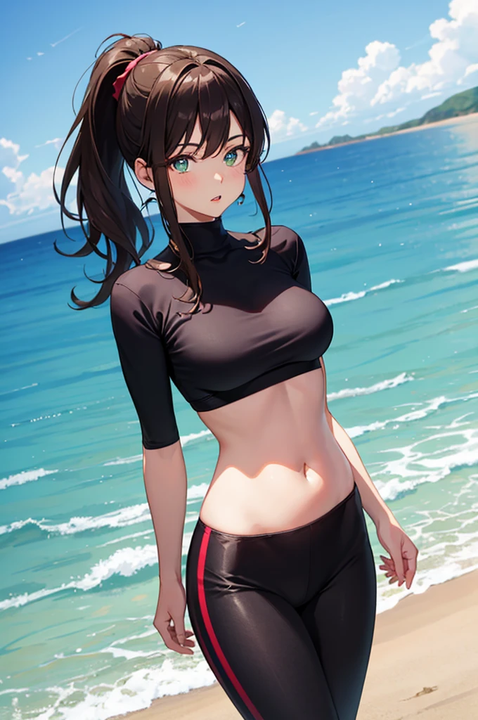 1girl, solo, cowboy shot, facing viewer, medium hair, ponytail, sidelocks, brown hair, (finely detailed beautiful eyes: 1.2), green eyes, parted lips, toned, large breasts, visible belly, {{{black top}}}, [[lava red top]], tank top, {{{black pants}}}, [[lava red pants]], tight sport pants, beach,