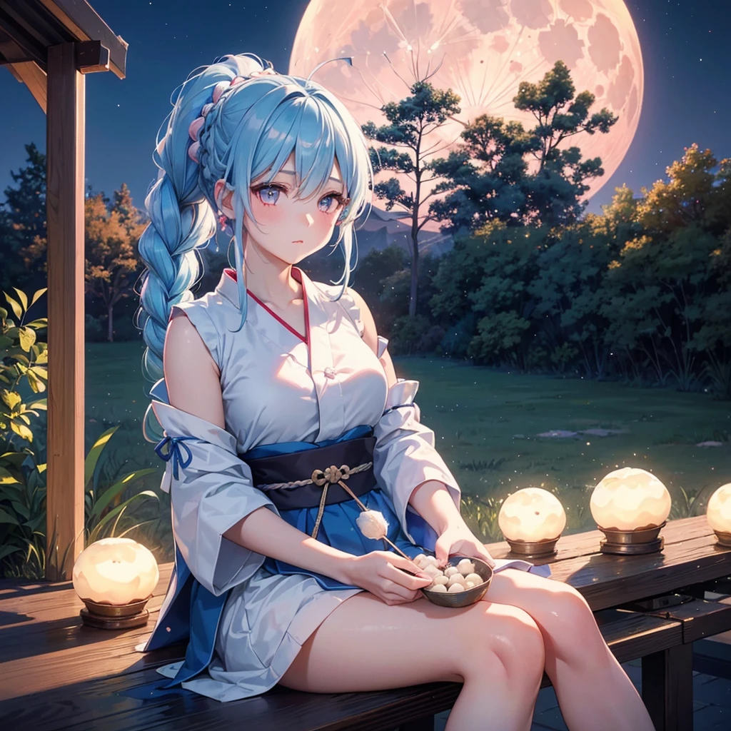 Sky blue hair, (Braided Ponytail:1.2), Pink eyes,Fair skin ,(whole body),(One Girl),Tsukimi,(White sweet dumplings ),White round dumplings,Japanese pampas grass,(beautiful, Full moon shining in the night sky),(masterpiece, Highest quality, Very detailed, Best Shadow), (Detailed Background), (Beautifully detailed face), High Contrast, (Best lighting, Very delicate and beautiful), ((Cinematic Light)), colorful, Hyper Detail,8k, Dramatic Light, Intricate details,Sit and eat dumplings while watching the moon,(Shadow of a rabbit on the moon),mysterious