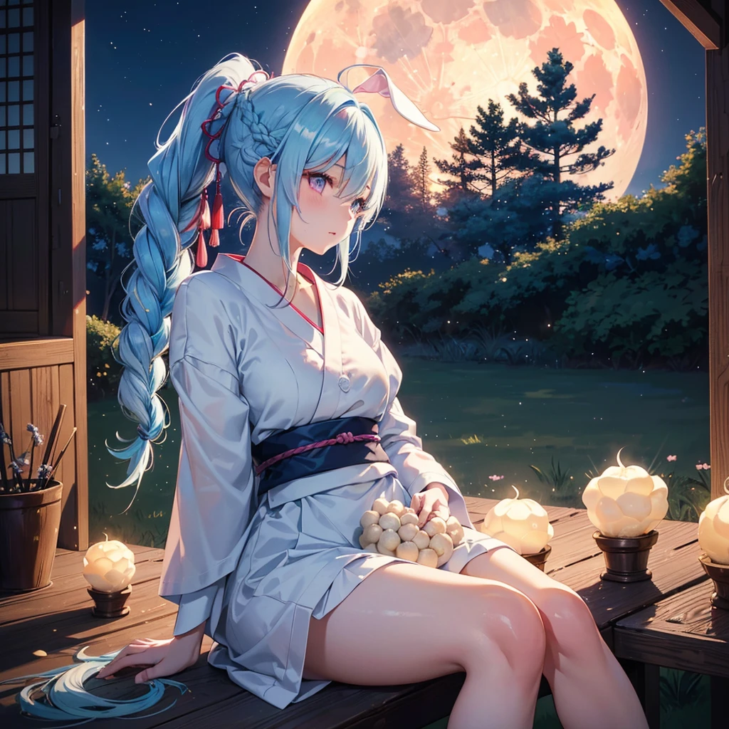 Sky blue hair, (Braided Ponytail:1.2), Pink eyes,Fair skin ,(whole body),(One Girl),Tsukimi,(White sweet dumplings ),White round dumplings,Japanese pampas grass,(beautiful, Full moon shining in the night sky),(masterpiece, Highest quality, Very detailed, Best Shadow), (Detailed Background), (Beautifully detailed face), High Contrast, (Best lighting, Very delicate and beautiful), ((Cinematic Light)), colorful, Hyper Detail,8k, Dramatic Light, Intricate details,Sit and eat dumplings while watching the moon,(Shadow of a rabbit on the moon),mysterious