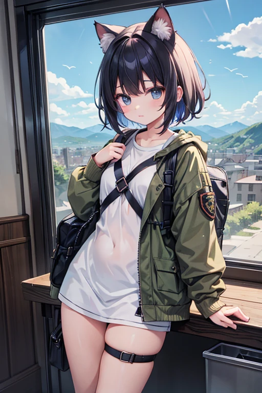 anime style, super fine illustration, masterpiece,best quality,highly detailed, dynamic angle, beautiful detailed, 8k,BREAK detailed background,a giant meca is standing behind girl. BREAK A rainbow appears in the sky.BREAK battlefield,detailed background,beautiful background,BREAK 1 cat girl,white short hair,army jacket,army pants,BREAK she has a box.