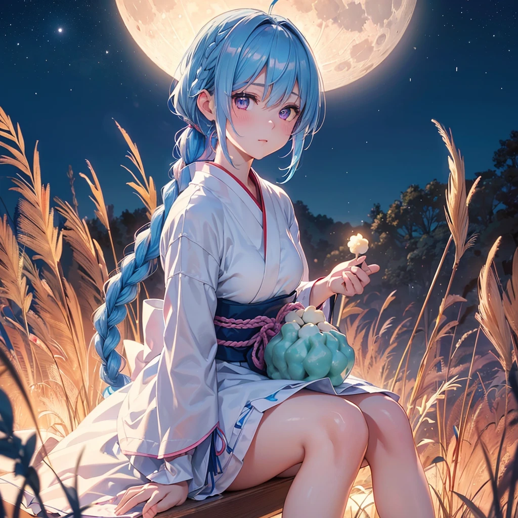Sky blue hair, (Braided Ponytail:1.2), Pink eyes,Fair skin ,(whole body),(One Girl),Tsukimi,(White sweet dumplings ),White round dumplings,Japanese pampas grass,(beautiful, Full moon shining in the night sky),(masterpiece, Highest quality, Very detailed, Best Shadow), (Detailed Background), (Beautifully detailed face), High Contrast, (Best lighting, Very delicate and beautiful), ((Cinematic Light)), colorful, Hyper Detail,8k, Dramatic Light, Intricate details,Sit and eat dumplings while watching the moon,(Shadow of a rabbit on the moon),mysterious