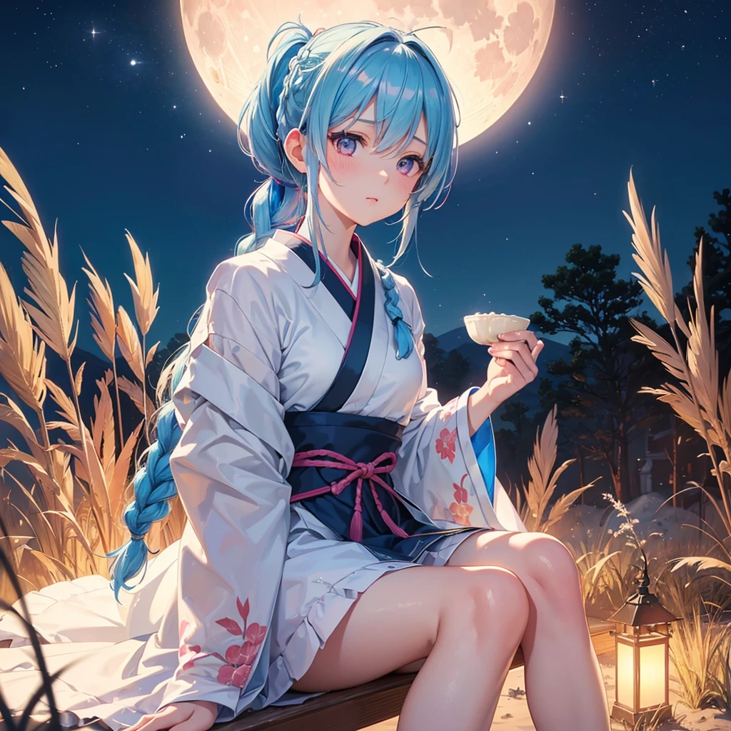 Sky blue hair, (Braided Ponytail:1.2), Pink eyes,Fair skin ,(whole body),(One Girl),Tsukimi,(White sweet dumplings ),White round dumplings,Japanese pampas grass,(beautiful, Full moon shining in the night sky),(masterpiece, Highest quality, Very detailed, Best Shadow), (Detailed Background), (Beautifully detailed face), High Contrast, (Best lighting, Very delicate and beautiful), ((Cinematic Light)), colorful, Hyper Detail,8k, Dramatic Light, Intricate details,Sit and eat dumplings while watching the moon,(Shadow of a rabbit on the moon),mysterious
