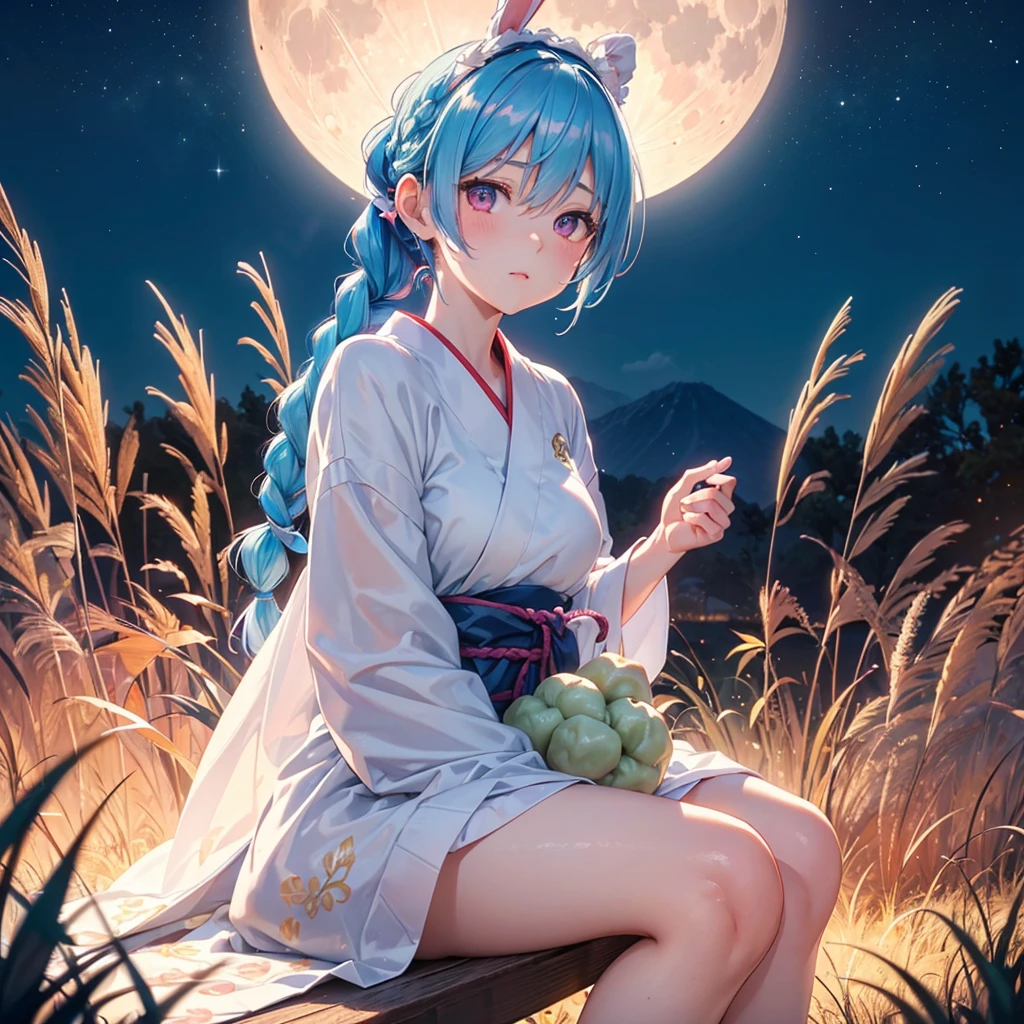 Sky blue hair, (Braided Ponytail:1.2), Pink eyes,Fair skin ,(whole body),(One Girl),Tsukimi,(White sweet dumplings ),White round dumplings,Japanese pampas grass,(beautiful, Full moon shining in the night sky),(masterpiece, Highest quality, Very detailed, Best Shadow), (Detailed Background), (Beautifully detailed face), High Contrast, (Best lighting, Very delicate and beautiful), ((Cinematic Light)), colorful, Hyper Detail,8k, Dramatic Light, Intricate details,Sit and eat dumplings while watching the moon,(Shadow of a rabbit on the moon),mysterious
