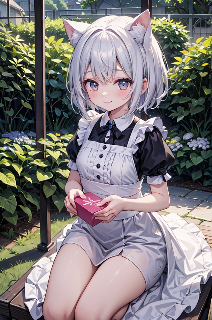 anime style, super fine illustration, highly detailed, dynamic angle, beautiful detailed, 8k, Summer afternoon in the garden, BREAK A dog smiles as it peeks out of a box. BREAK A shower of sprinklers pours down. BREAK A rainbow appears in the sky.BREAK maid,white cat years,girl,short hair,BREAK she is seeing for viewer.