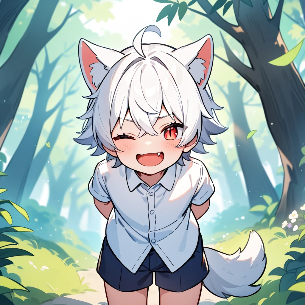 （masterpiece：1.2，high quality），4K，High resolution，A seven-year-old boy，cute boy，white hair，short hair，crossed bangs，red eyes，slit pupils，one eye closed， ahoge，cat ears，laughing，teeth， fang，Wearing a white shirt，dark blue shorts，Stand in the forest，There are flowering trees on both sides.，primary school student，thigh，alone，dog tail，((Hands behind your back))