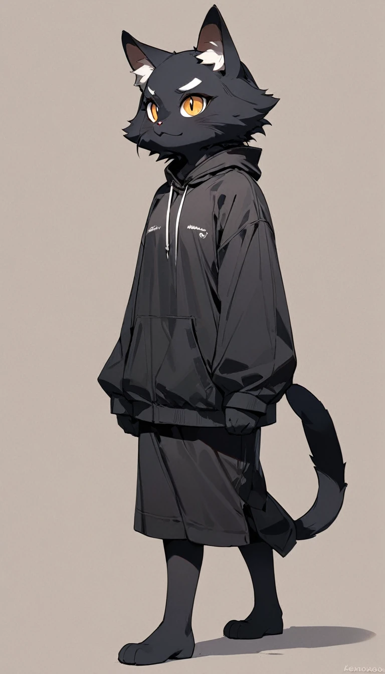 (masterpiece, best quality:1.2), 1 girl, solo, full body, (anthropomorphic Black Cat, furry, kemono), Tsundere, simple background