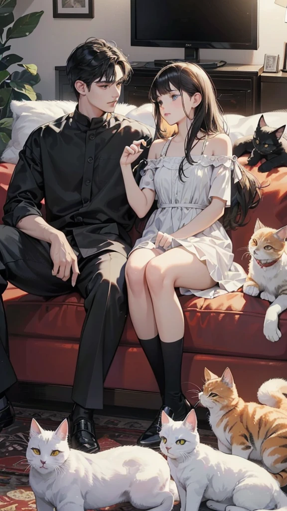(digital art, digital illustration, 4K, 8ก, Very detailed, beautiful picture, Sharp picture, realistic, raw photos, perfect face, perfect lines, perfect eyes, soft light) black hair, Many cats, black cat, orange cat, white cat