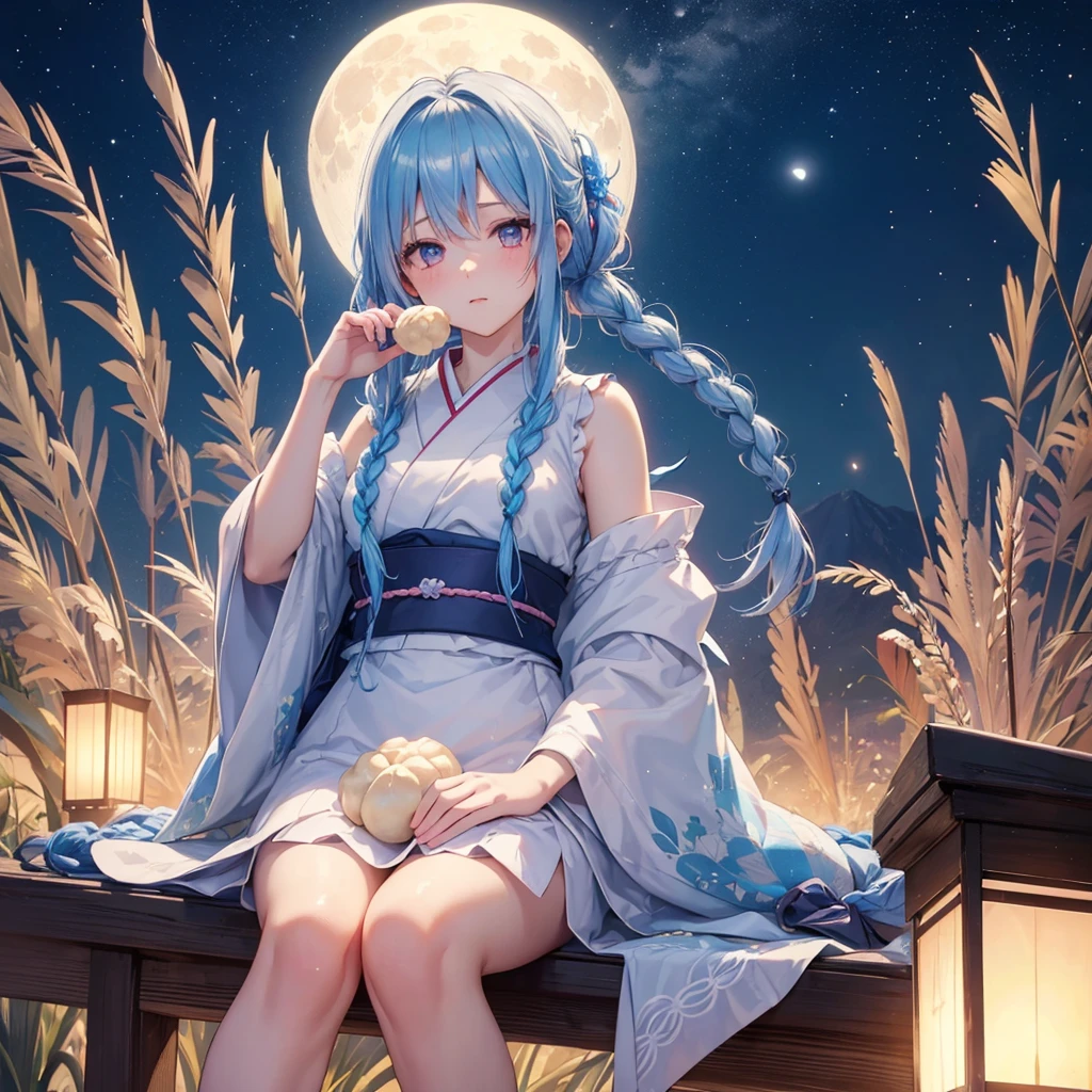 Sky blue hair, (Braided medium hair:1.2), Pink eyes,Fair skin ,(whole body),(One Girl),(White sweet dumplings ),White round dumplings,Japanese pampas grass,(beautiful, Full moon shining in the night sky),(masterpiece, Highest quality, Very detailed, Best Shadow), (Detailed Background), (Beautifully detailed face), High Contrast, (Best lighting, Very delicate and beautiful), ((Cinematic Light)), colorful, Hyper Detail,8k, Dramatic Light, Intricate details,Sit and eat dumplings while watching the moon,mysterious