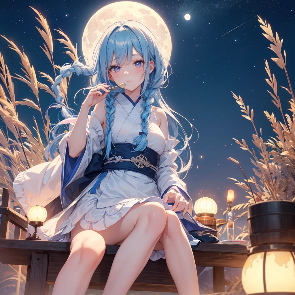 Sky blue hair, (Braided medium hair:1.2), Pink eyes,Fair skin ,(whole body),(One Girl),(White sweet dumplings ),White round dumplings,Japanese pampas grass,(beautiful, Full moon shining in the night sky),(masterpiece, Highest quality, Very detailed, Best Shadow), (Detailed Background), (Beautifully detailed face), High Contrast, (Best lighting, Very delicate and beautiful), ((Cinematic Light)), colorful, Hyper Detail,8k, Dramatic Light, Intricate details,Sit and eat dumplings while watching the moon,mysterious