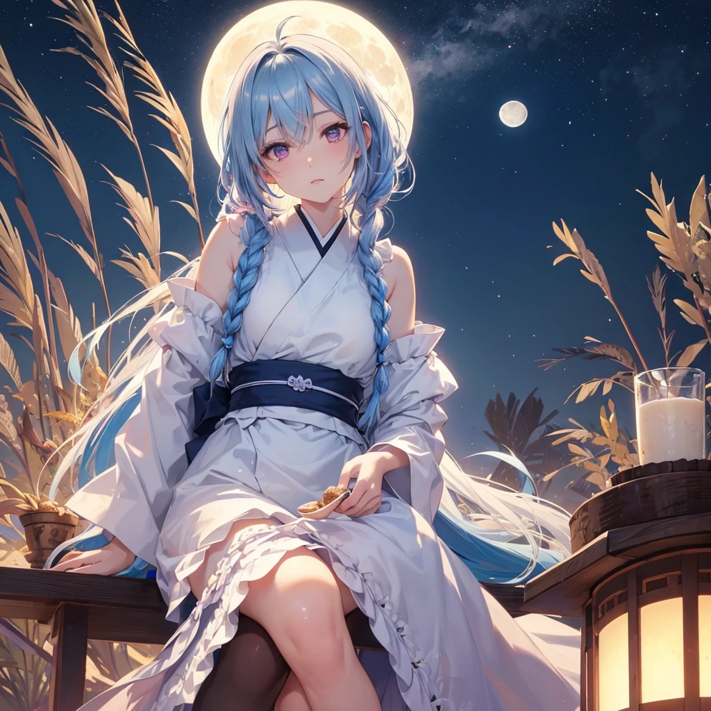 Sky blue hair, (Braided Ponytail), Pink eyes,Fair skin ,(whole body),(One Girl),Tsukimi,Dumpling,Japanese pampas grass,(beautiful, Full moon shining in the night sky),(masterpiece, Highest quality, Very detailed, Best Shadow), (Detailed Background), (Beautifully detailed face), High Contrast, (Best lighting, Very delicate and beautiful), ((Cinematic Light)), colorful, Hyper Detail,8k, Dramatic Light, Intricate details,Sit and eat dumplings while watching the moon,Rabbit pattern on the moon