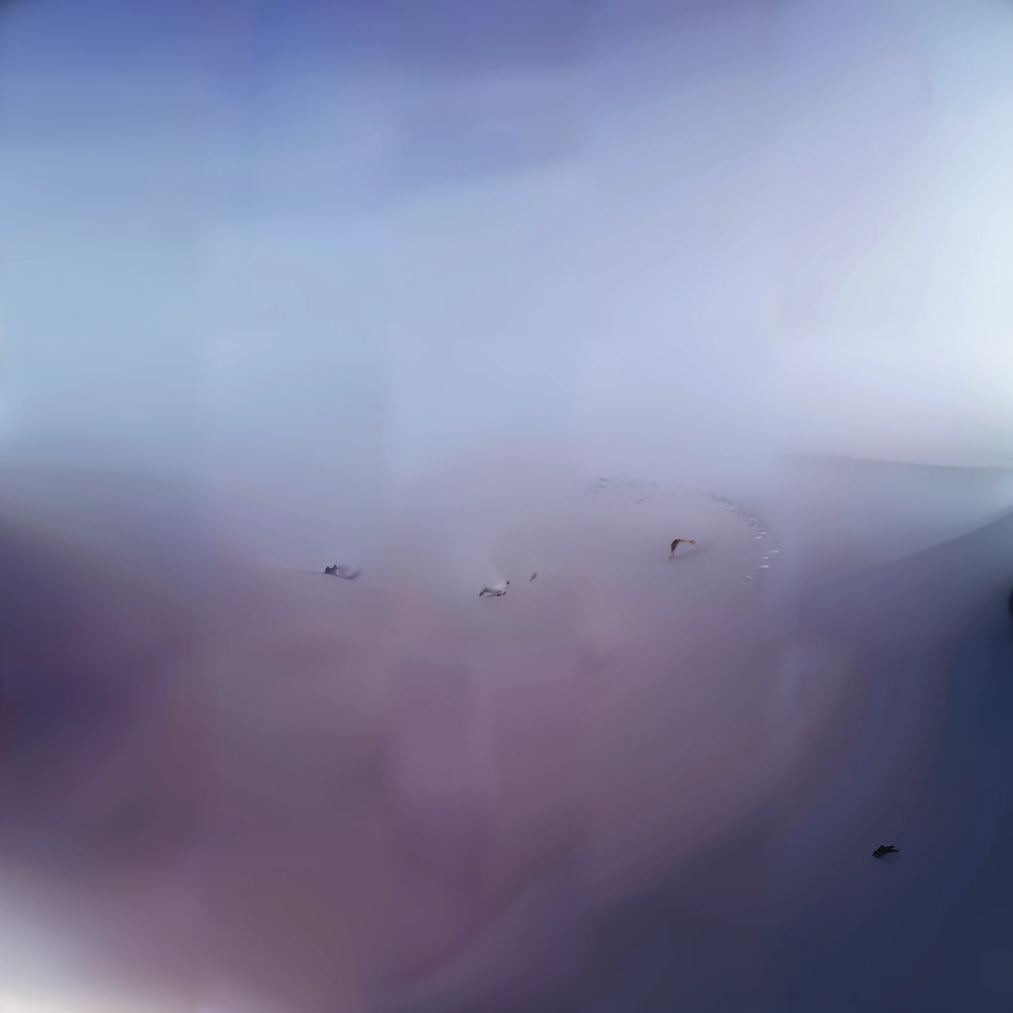 ((best qualityer)), ((work of art)), (detailded), 1 panther attacking a wolf