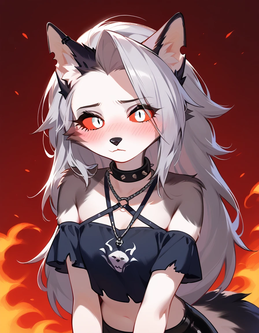 score_9, score_8_up, score_7_up, score_6_up, safe content, by vivzmind, mammal, canid, canid demon, demon, canine, anthro, female, fur, solo, hair, white body, white fur, helluva boss, holidays, hellhound, loona, red sclera, top, white eyes, midriff, blush, shy, embarrassed, summer, leaning towards viewer, medium breasts, breats squish,looking up at viewer,