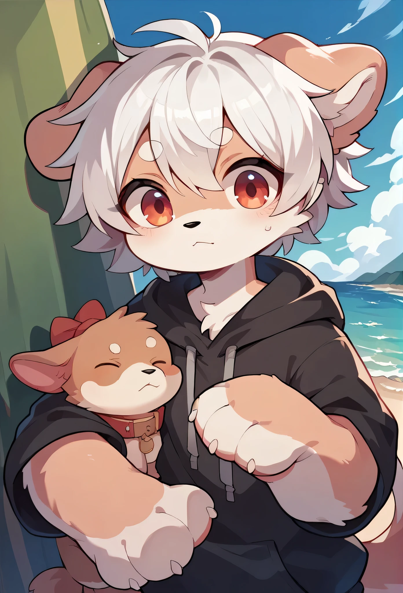 Chihuahua fur,white hair,)cry,Paw Clothes,hoodie clothes,dog,Wizard,Dropped ears,summer,Ocean