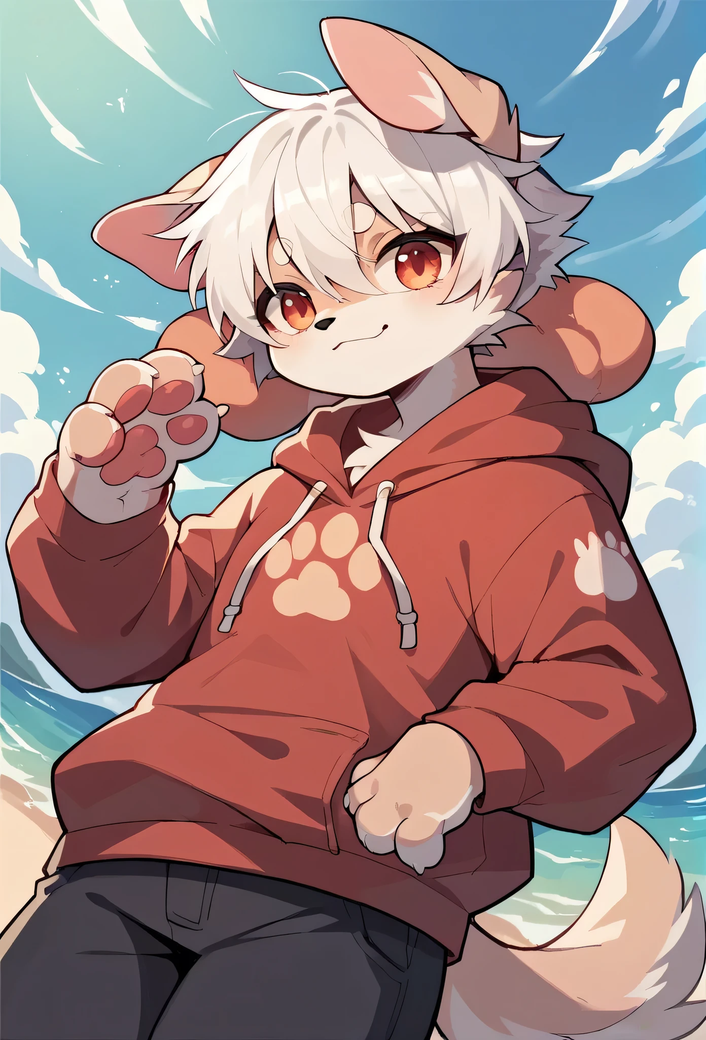 Chihuahua fur,white hair,)cry,Paw Clothes,hoodie clothes,dog,Wizard,Dropped ears,summer,Ocean