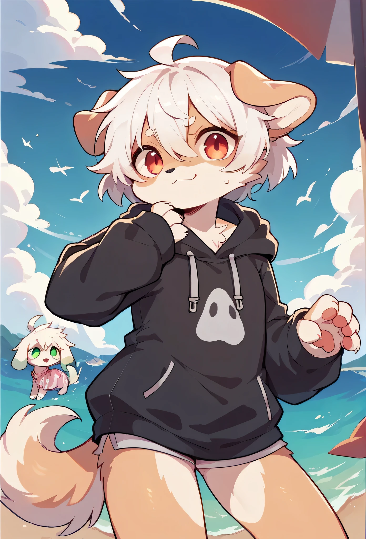 Chihuahua fur,white hair,)cry,Paw Clothes,hoodie clothes,dog,Wizard,Dropped ears,summer,Ocean,My name is Raiju