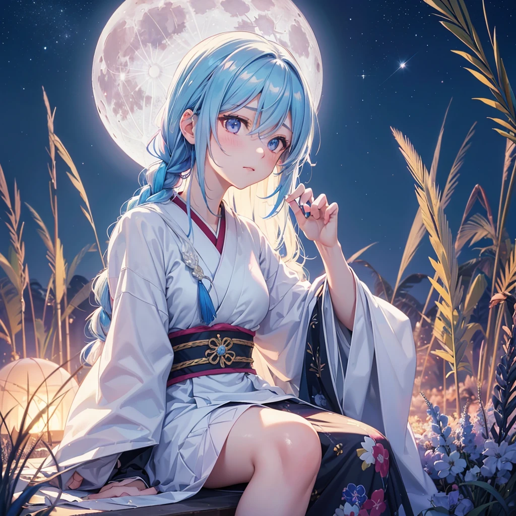 Sky blue hair, (Braided medium hair:1.2), Pink eyes,Fair skin ,(whole body),(One Girl),(White sweet dumplings ),White round dumplings,Japanese pampas grass,(beautiful, Full moon shining in the night sky),(masterpiece, Highest quality, Very detailed, Best Shadow), (Detailed Background), (Beautifully detailed face), High Contrast, (Best lighting, Very delicate and beautiful), ((Cinematic Light)), colorful, Hyper Detail,8k, Dramatic Light, Intricate details,Sit and look at the moon,