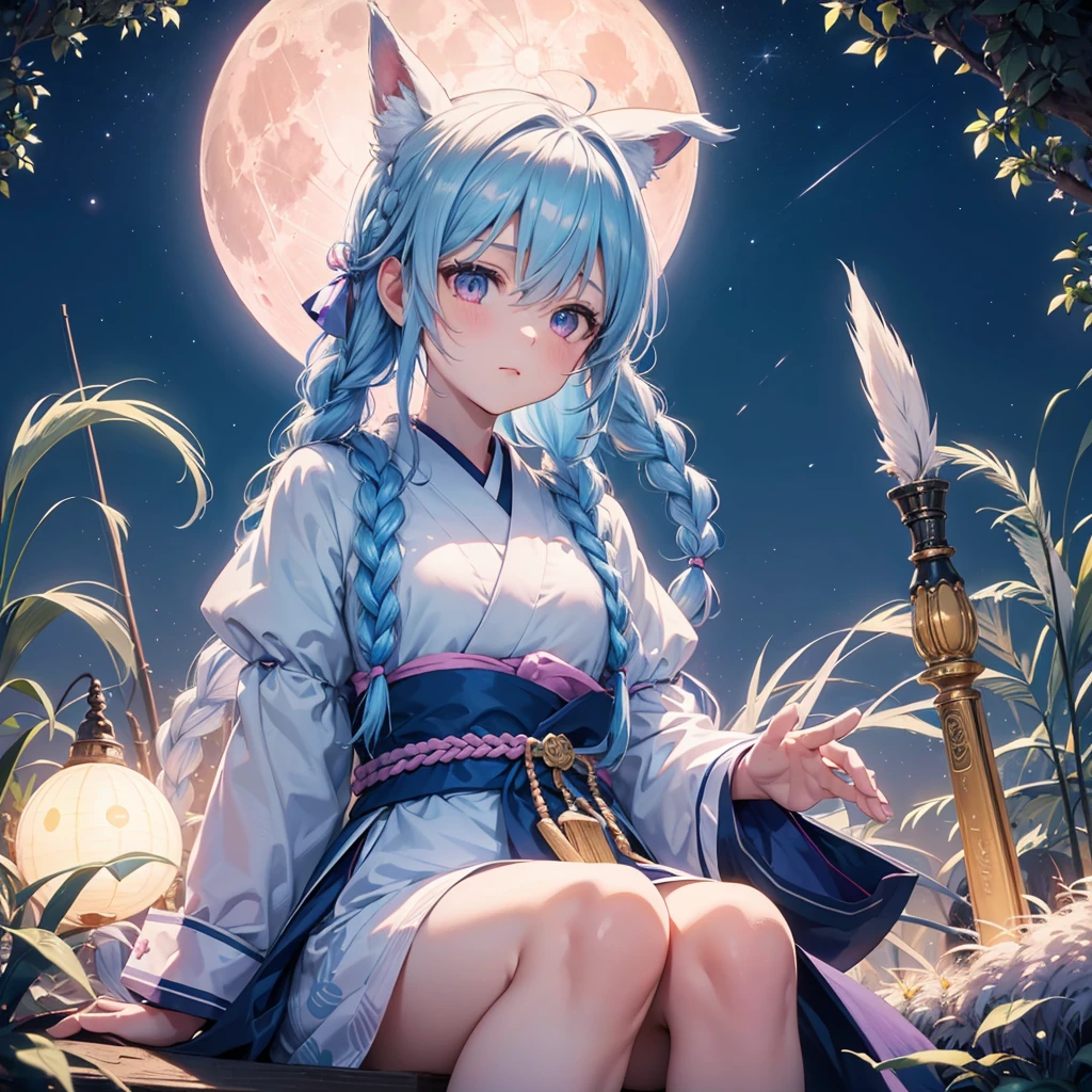 Sky blue hair, (Braided medium hair:1.2), Pink eyes,Fair skin ,(whole body),(One Girl),(White sweet dumplings ),White round dumplings,Japanese pampas grass,Bunny pattern moon,(beautiful, Full moon shining in the night sky),(masterpiece, Highest quality, Very detailed, Best Shadow), (Detailed Background), (Beautifully detailed face), High Contrast, (Best lighting, Very delicate and beautiful), ((Cinematic Light)), colorful, Hyper Detail,8k, Dramatic Light, Intricate details,Sit and look at the moon,