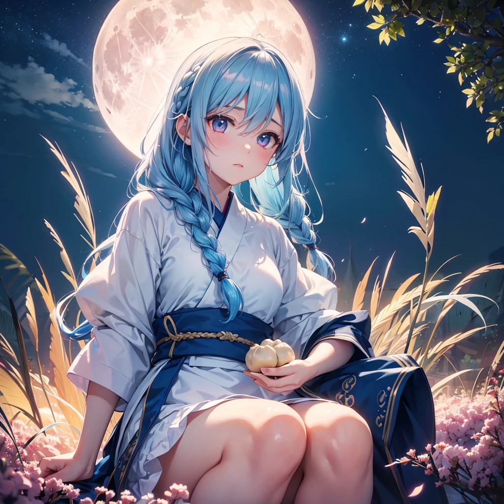 Sky blue hair, (Braided medium hair:1.2), Pink eyes,Fair skin ,(whole body),(One Girl),(White sweet dumplings ),White round dumplings,Japanese pampas grass,(beautiful, Full moon shining in the night sky),(masterpiece, Highest quality, Very detailed, Best Shadow), (Detailed Background), (Beautifully detailed face), High Contrast, (Best lighting, Very delicate and beautiful), ((Cinematic Light)), colorful, Hyper Detail,8k, Dramatic Light, Intricate details,Sit down and eat dumplings