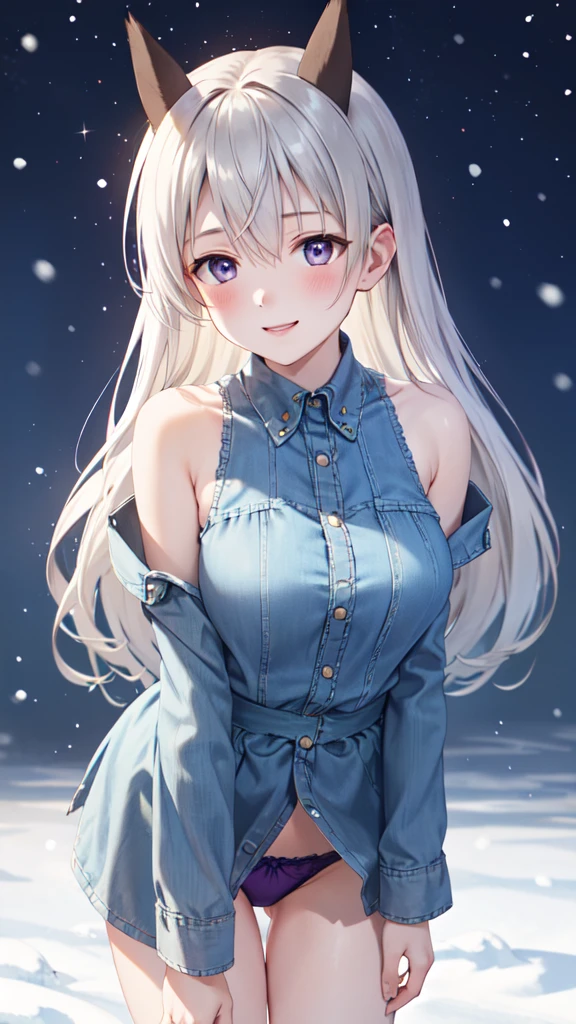 snow, One Girl, alone, Long Hair, blush, smile, blue eyes, Purple eyes, Grey Hair, Fox Ears、smile、 Ultra-high resolution,masterpiece, Highest quality, Anime illustration,underwear、good、Highest quality、(Beautiful attention to detail:1.6)、Beautiful thighs、Highly detailed face、Perfect lighting、Highly detailed CG、4K,8k、Cowboy Shot、Leaning forward、Absolute reference to the center