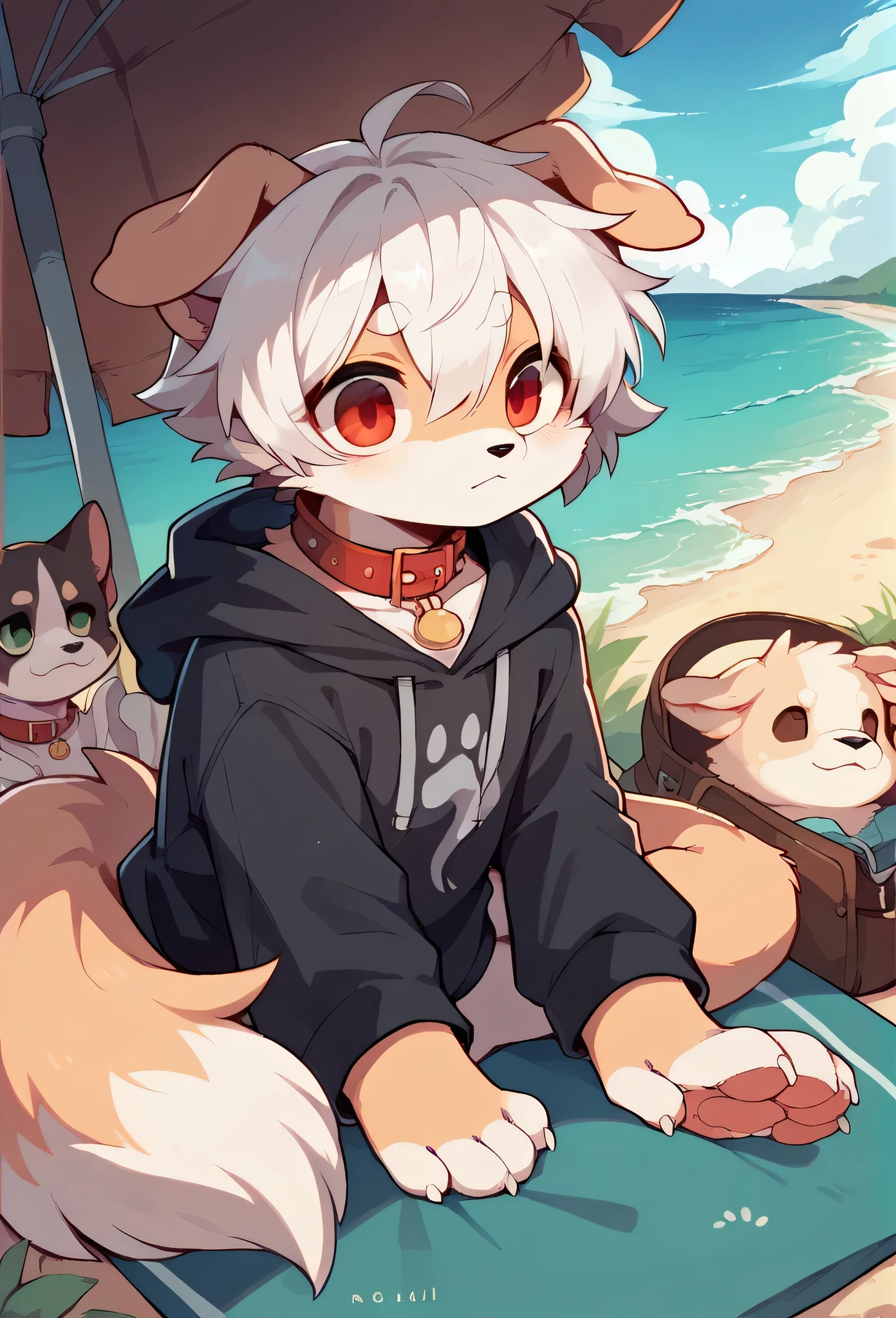 Chihuahua fur,white hair,)cry,Paw Clothes,hoodie clothes,dog,Wizard,Dropped ears,summer,Ocean,My name is Raiju,Red collar
