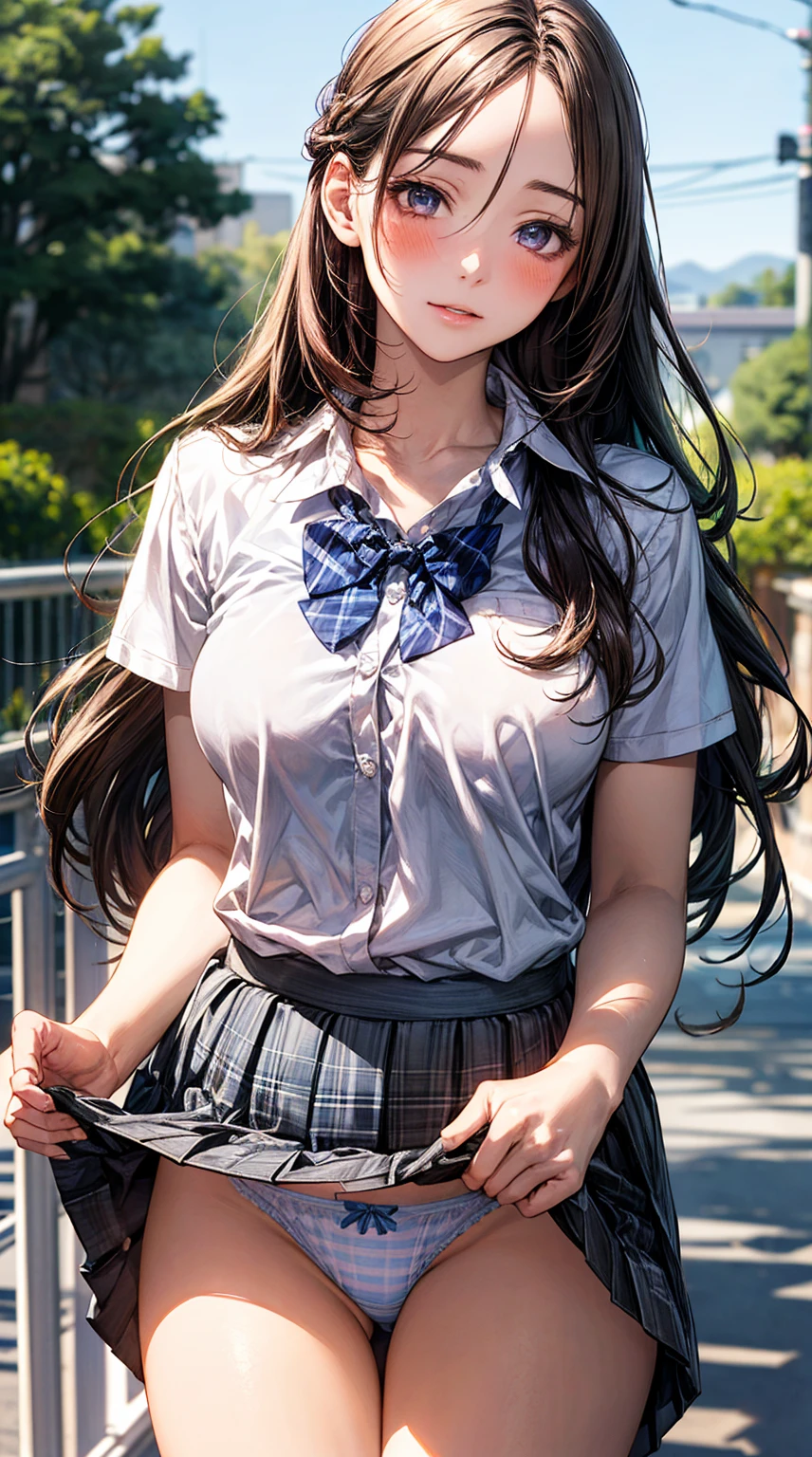 (masterpiece:1.2, top quality), (realistic, photorealistic:1.4), beautiful picture, 
looking at viewer, whole body, front view:0.6, 
1 girl, Japanese, high school girl, (long hair:1.5), blown hair, (half up, half updo), forehead, hair between eyes, big bust:0.8, 
beautiful hair, beautiful face, beautiful and delicate eyes, beautiful collarbone, beautiful body, beautiful breasts, beautiful thighs, beautiful bridge, beautiful fingers, 
(beautiful scenery), , school,
((collar short sleeve shirt, white shirt, school uniform, gray plaid pleated skirt, blue plaid bow tie)), white panties, 
(standing, , lift up skirt, hold the hem of the skirt, place one&#39;s hand on one&#39;s heart, hands between legs), 
blush, ,