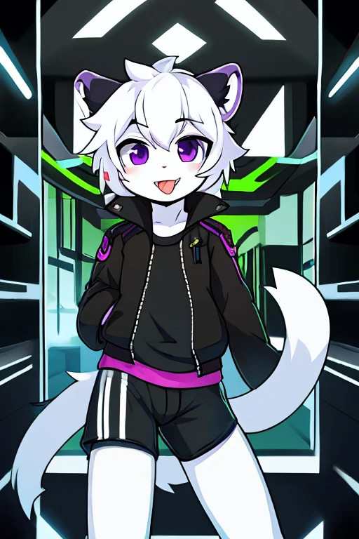 White fur tiger, , adolesh white tail, White hair, black jacket, address shirt, shorts negros, purple eyes, hacker, sticking out tongue, Silly