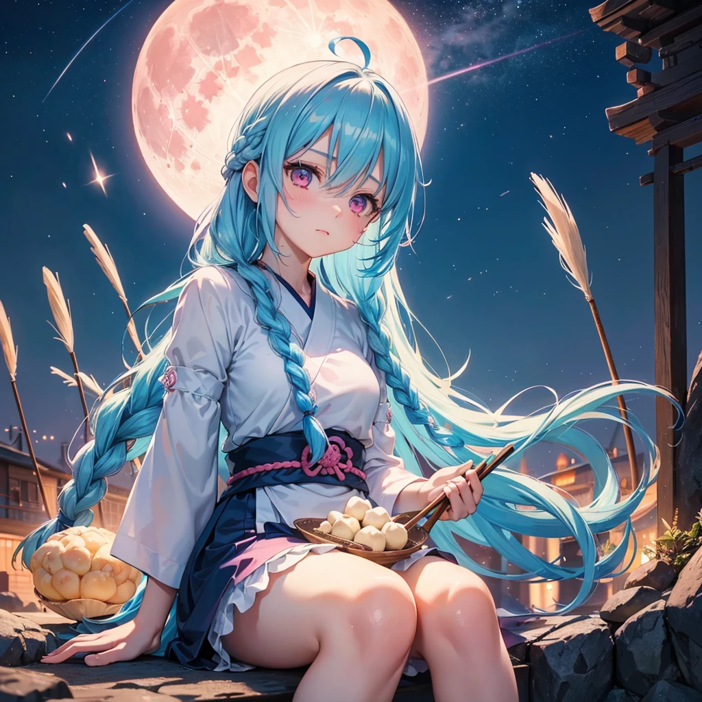 Sky blue hair, (Braided hair in one piece), (Pink eyes),Fair skin)  ,(whole body),(One Girl),(White sweet dumplings ),White round dumplings,Japanese pampas grass,(beautiful, Full moon shining in the night sky),(masterpiece, Highest quality, Very detailed, Best Shadow), (Detailed Background), (Beautifully detailed face), High Contrast, (Best lighting, Very delicate and beautiful), ((Cinematic Light)), colorful, Hyper Detail,8k, Dramatic Light, Intricate details,Sit down and eat dumplings