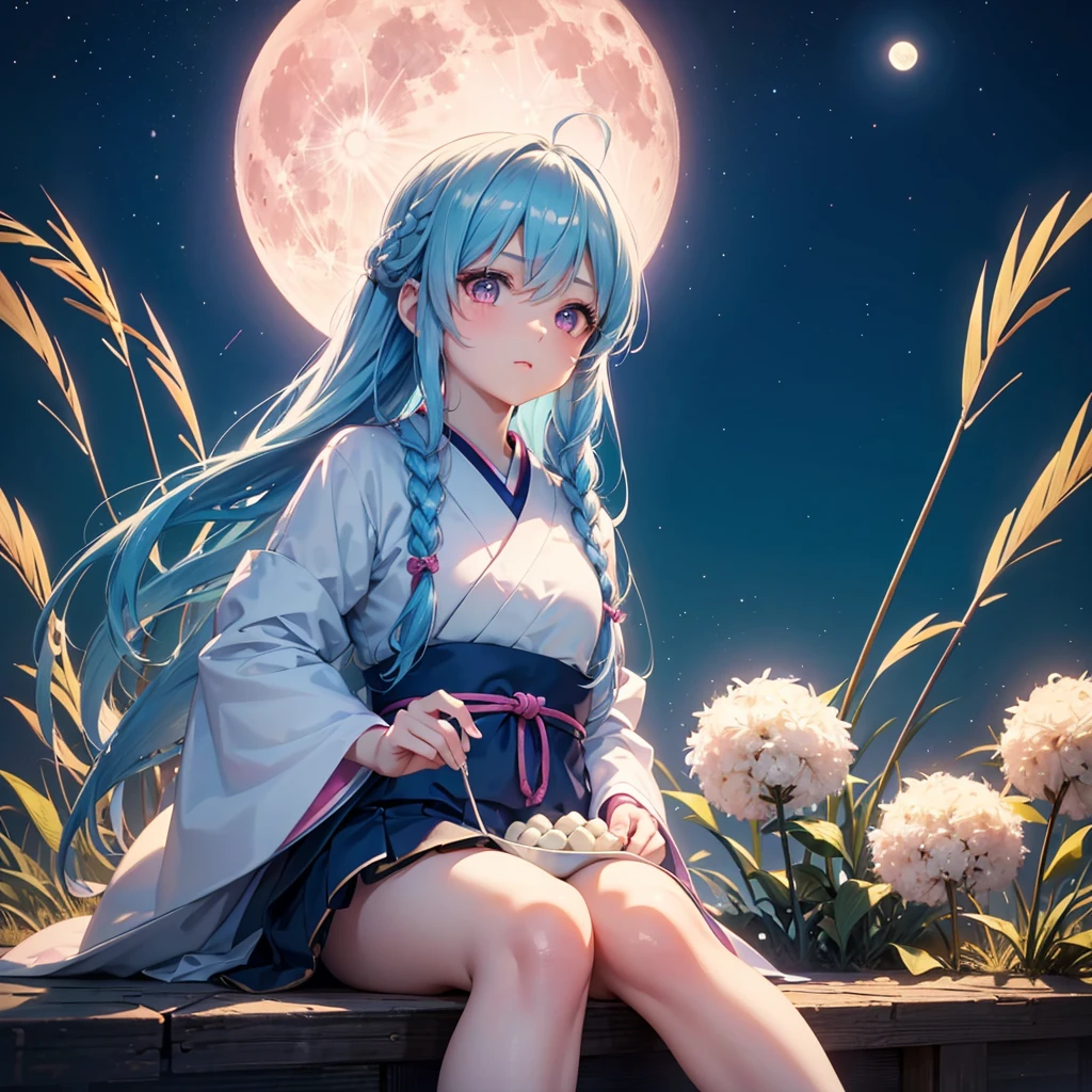 Sky blue hair, (1 braided hair), (Pink eyes),Fair skin) ,(whole body),(One Girl),(White sweet dumplings ),White round dumplings,Japanese pampas grass,(beautiful, Full moon shining in the night sky),(masterpiece, Highest quality, Very detailed, Best Shadow), (Detailed Background), (Beautifully detailed face), High Contrast, (Best lighting, Very delicate and beautiful), ((Cinematic Light)), colorful, Hyper Detail,8k, Dramatic Light, Intricate details,Sit down and eat dumplings