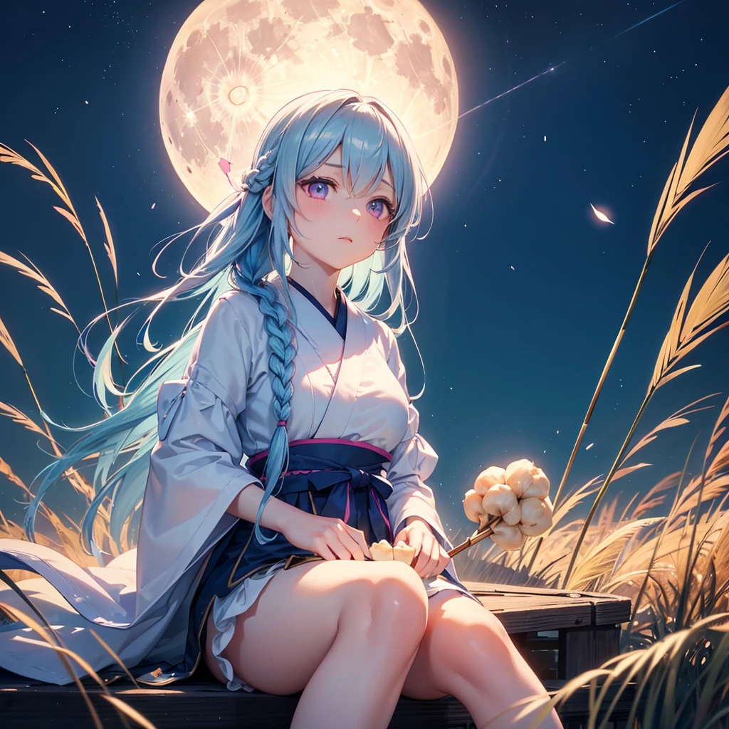 (Sky blue single braided hair), (Pink eyes),Fair skin)  ,(whole body),(One Girl),(White sweet dumplings ),White round dumplings,Japanese pampas grass,(beautiful, Full moon shining in the night sky),(masterpiece, Highest quality, Very detailed, Best Shadow), (Detailed Background), (Beautifully detailed face), High Contrast, (Best lighting, Very delicate and beautiful), ((Cinematic Light)), colorful, Hyper Detail,8k, Dramatic Light, Intricate details,Sit down and eat dumplings