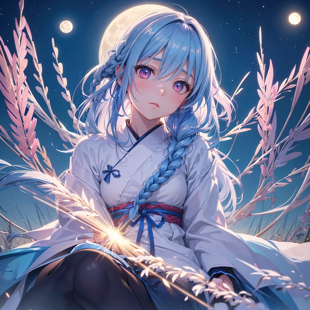 Sky blue hair, (1 braided hair), (Pink eyes),Fair skin) ,(whole body),(One Girl),(White sweet dumplings ),Japanese pampas grass,(beautiful, Full moon shining in the night sky),(masterpiece, Highest quality, Very detailed, Best Shadow), (Detailed Background), (Beautifully detailed face), High Contrast, (Best lighting, Very delicate and beautiful), ((Cinematic Light)), colorful, Hyper Detail,8k, Dramatic Light, Intricate details,Sit down and eat dumplings
