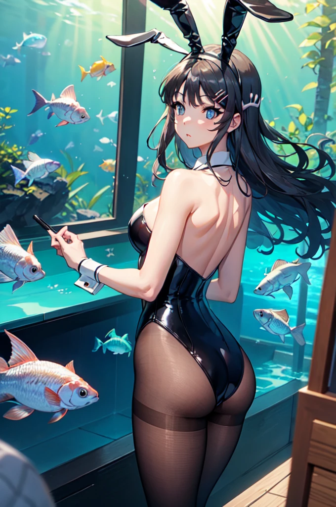 (masterpiece:1.2), best quality, high resolution, MaiSakurajima, 1girl, solo, long hair, looking at viewer, blush, blue eyes, black hair, hair ornament, animal ears, bare shoulders, medium breasts, closed mouth, standing, tail, ass, pantyhose, cowboy shot, hairband, hairclip, looking back, water, from behind, rabbit ears, leotard, wrist cuffs, black pantyhose, strapless, detached collar, fake animal ears, animal, playboy bunny, rabbit tail, black leotard, strapless leotard, fish, fake tail, rabbit hair ornament, aquarium,