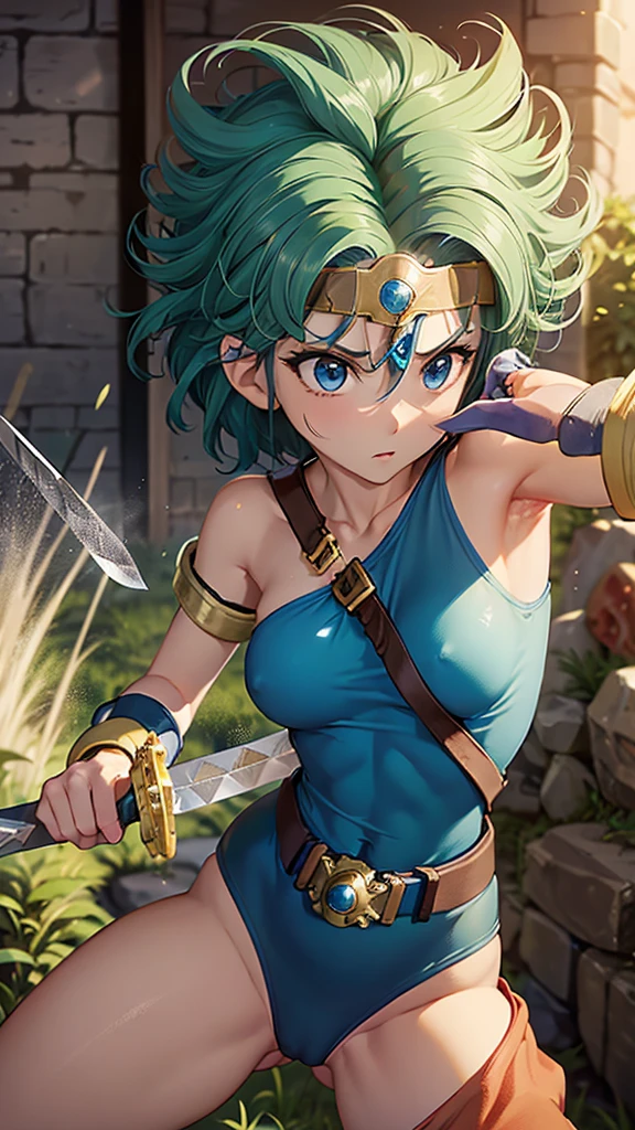 (((SFW、sound、Highest quality、First class work、Normal body、、Detailed face、Ultra-precision、normal hand、Normal refer to、5refer to、Highest)))、beautiful girl、Black Hair、yamato nadeshiko、Small breasts、Shortcuts、Blue leotard、Shoulder Off、Black paleo skirt、Red Cape、Circlet、Bastard sword、shield、Dragon Quest、grassland、Depict every detail、Noise is kept to a minimum、(((Parrying an enemy attack with a sword:1.5)))