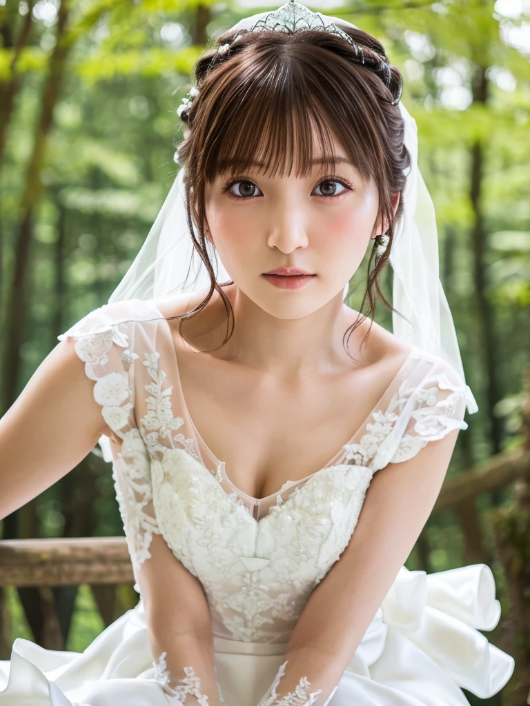 One Girl, (beautiful girl, Delicate girl:1.3), (************:1.3),
break, (Bride Costume:1.3),
break, (Sitting in the forest:1.2),
break, Very beautiful eyes, (Symmetrical eyes:1.3),
break, Small breasts, Brown eyes, Parted bangs, Brown Hair, (Upper teeth, The best smile:0.2),
break, (Eye and facial details:1.0),
break, (masterpiece, Highest quality, Very detailed, Detailed face, 8k)