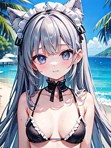 ((masterpiece、4K、8k、Highest quality: 1.Perfect Fingers: 1.Perfect Anatomy: 1.3、Background Blur))、((Ultra-precise expression))、((White frills、Cute black bikini、Maid's headband))、((、Small face、Dog Ears、Super Beauty、Straight Long Hair))、Beautiful Eyes：1.1、smile、（Model pose）、blue sky、mansion by the sea、Poolside、White sand beach、Grass、Large Breasts
