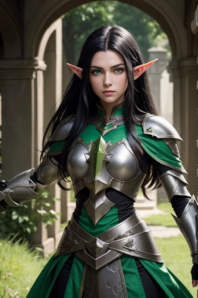 An image of a half-elf paladin with black hair and green eyes