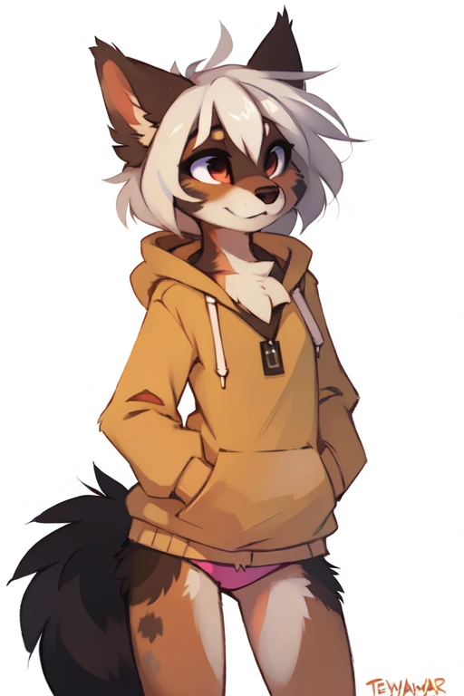 (((White background, no background))), High quality, 8K, by kenket, by swaybat, by reysi, by Zackary911, by hyattlen, by teranen, by fumiko, by Pixelsketcher, by Bayard Wu, by Einshelm, by Kilinah, by Hioshiru, by fluff-kevlar, by Dimwitdog, Furry, Anthro, solo, ((australian shepard)), ((female)), ((young)), fluffy tail, ((slender)), ((short white hair)), chest fluff, short, small breasts, pink panties, oversized long hoodie