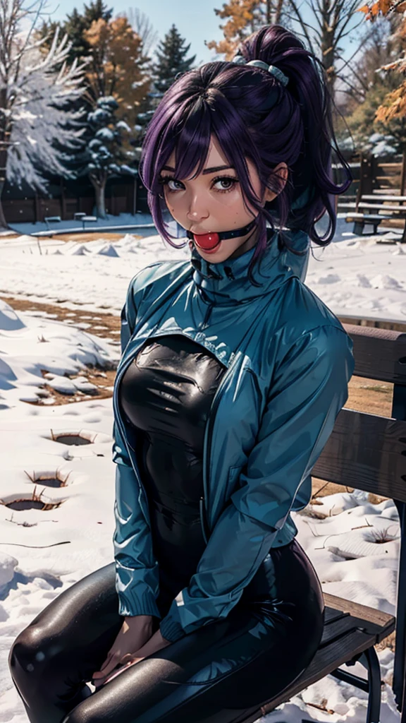 purple hair, ponytail, brown eyes, wearing a blue parka, black turtleneck, leggings, looking at viewer, blush, plainredballgag,ball gag, sitting, on bench, outside, park, field, trees, autumn, snow, blue sky, high quality, masterpiece, shibari, hishi karada, arms tied behind