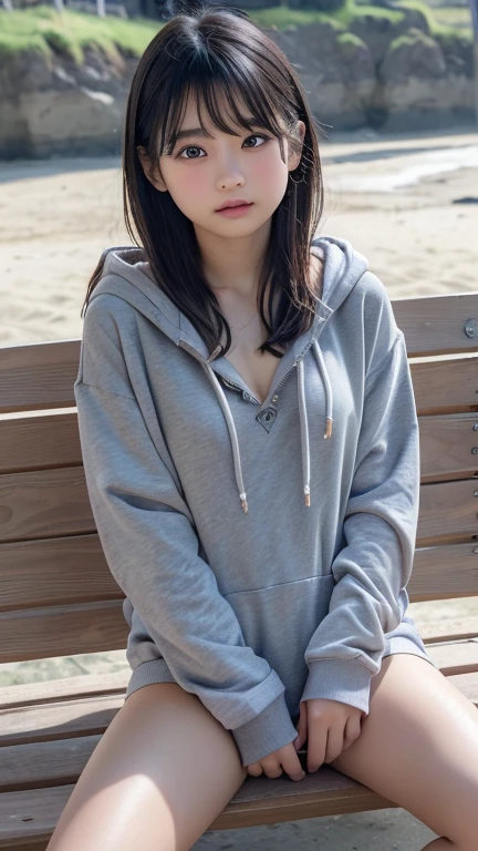 1girl,perfect Ratio Face, Balanced eyes, double eyelid,japanese,14yr,round face, an innocent face, embarrassed, Beautiful nasal muscles, lipgloss,((show chest & pussy)), flat chest,open legs,spread legs,pubic hair,petit body,((open gray hoodie over naked)),on bench at beach